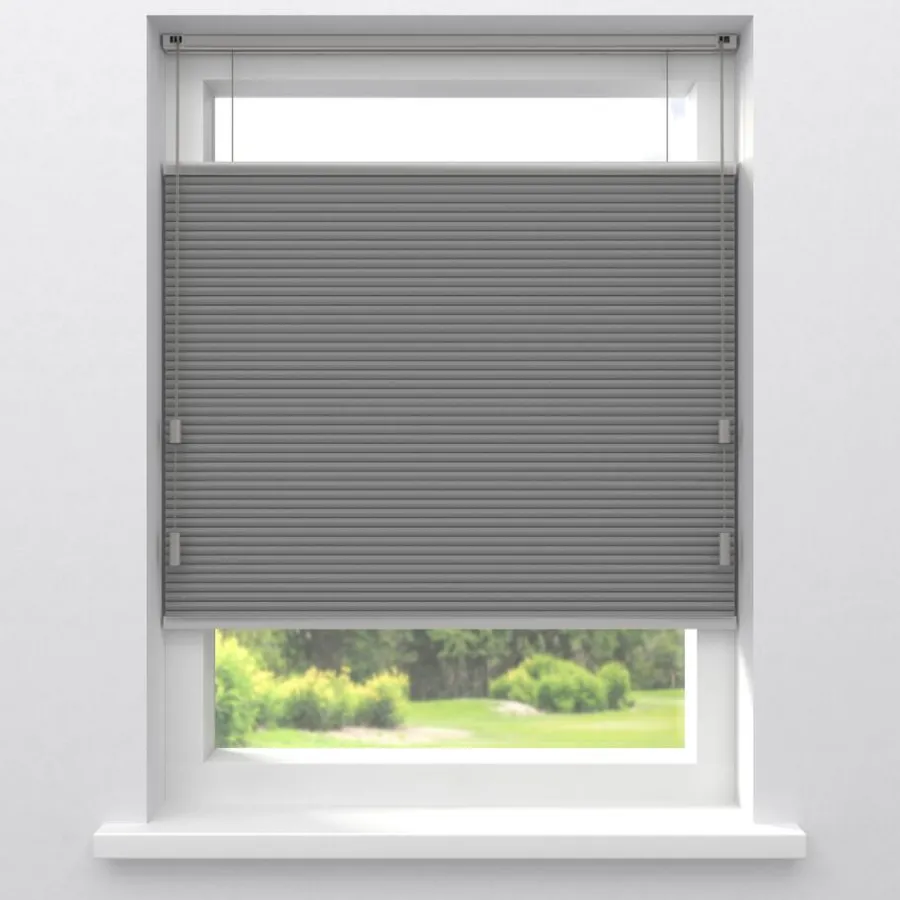 Kwantum Plisségordijnen|Isolerende Gordijnen*Fenstr Dubbel Plissé Aniek Verduisterend Grijs