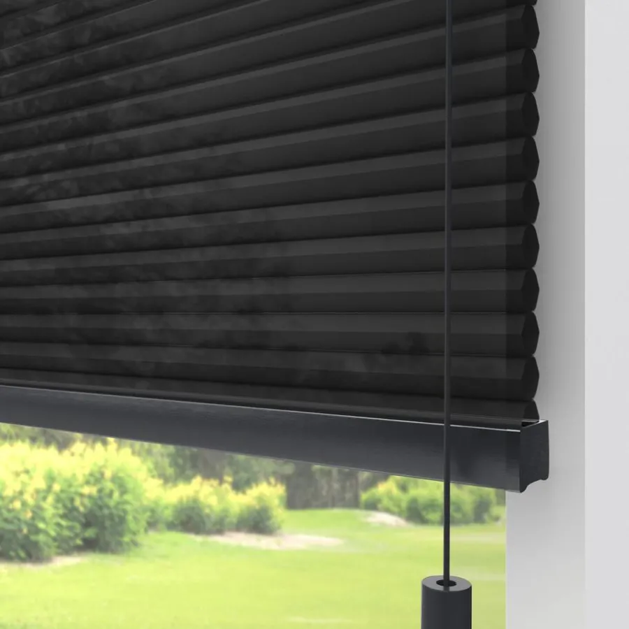 Kwantum Plisségordijnen*Fenstr Dubbel Plissé Dewi Lichtdoorlatend Zwart