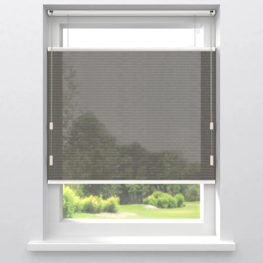 Kwantum Plisségordijnen*Fenstr Dubbel Plisségordijn Maud Donkerbruin Transparant Dr.Bruin