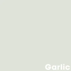 Kwantum Muurverf*Muurverf Professional Garlic 2.5 L 2.5L